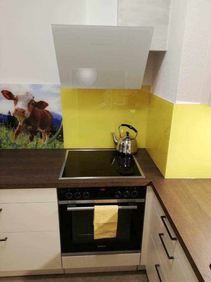 Appartamento Schmaranzer Bad Ischl Esterno foto